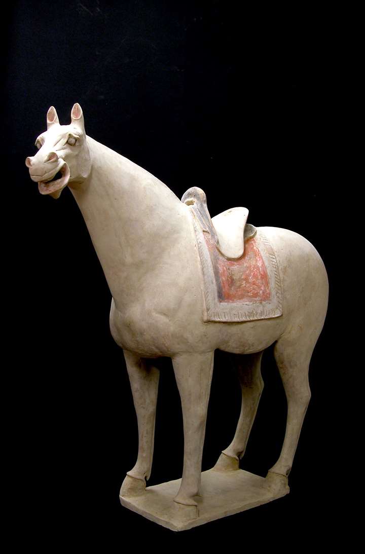 Large Terracotta Saddled Horse - Tang Dynasty